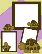 turtles pet animals with little boys