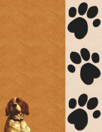 snips ans snails puppy dog tails or heads paw prints