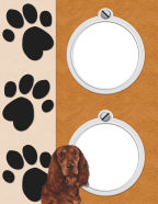 paw print irish setter and spaniel little boys time outdoors