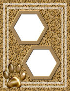 pawprints animal themed professional looks