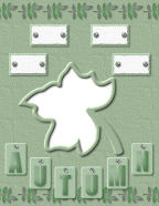 october time colors in the forest of trees