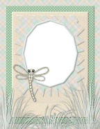 seas shore or lake side pics dried grasses wave with silver dragonfly