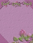 summer late flowers outside hiking