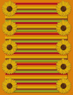 bright colored sunflowers in groups and lines womens bright