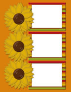 floral framed trees november october time