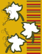 green olvie leaf framed openings