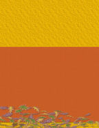 leaf patterns stacked layers boys and girls