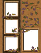 hiking woods camping in the forest fauna