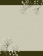 baby breath flowers women suitable outings