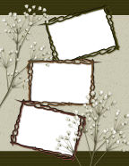 baby breath floral branches women wedding photographs