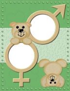 bouncing bears childrens borders