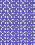 scrapbook small paw prints blue white papers