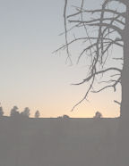 Background paper template downloads