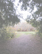 Internet's #1 digital scrapbook background paper template downloads