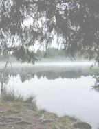 digital scrapbooking background paper downloadable templates