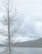 Learn to scrapbook free with Background scrapbooking papers