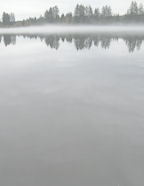 Scrapbook Membership site downloadable background papers