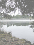 Quick build digital scrapbooking paper backgrounds