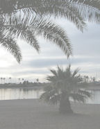 download our scrapbook membership site background papers