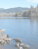 simple to use scrapbook paper background printable downloads