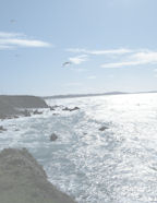 Fast Build digi scrap paper downloads of backgrounds