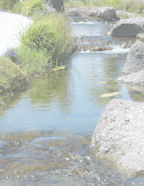 Printable digital scrapbook paper template downloads.