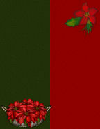 pointsettias baskets decorated house