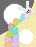 pocketed garden blossoms rabbithead buttons bloom and grow 