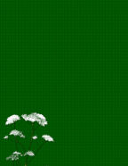 masculine nature backs best man weddings, ring bearer pix