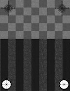 Easy Male or Father's Day style digi-scrap paper downloadable templates