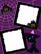 black kittens yowling in webs