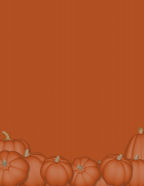 pumpkins patch growing on the vine