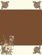 floral scrapbooking templates for beginning scrapbooks store