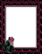 winter roses winter christmas seasonal photo mattes printable for computer scrapbooks backgrounds
