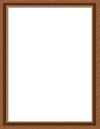 #1 Best Digi-Scrapebook paper downloads for your computer.