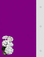 printable religious scrapbook papers download digital templates