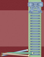 Little Red School House Printable Scrapbook Paper Downloadables