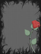 red rose shabby chic scrapbook papers for feminine or girl themed scrapbgook papers