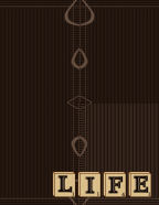 love life special occasions scrapbook paper backgrounds digital printable