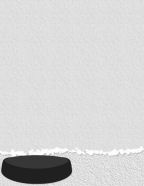 hockey puck for team game photos 