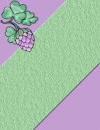 ireland blessings purple charms boys & girls roll me over in the clover