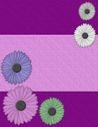 the isle of eirie ireland pride spring summer photos books