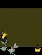 Summer Season Themed Digital Scrapbook Paper Downloads