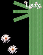 summer wild flowers white with orange centers celebrate