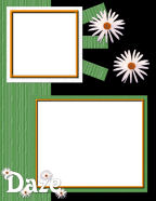 florals flower framed elements wildflower backgrounds