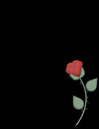 bridal party scrapbook supplies templates cheap online store scrapbook supplies