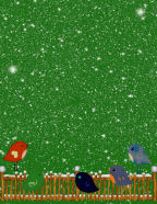 falling snow landscape robins and birds on a fence