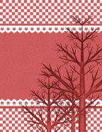 winter trees bare and cold landscapes