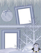 tags adn frames forests bare february